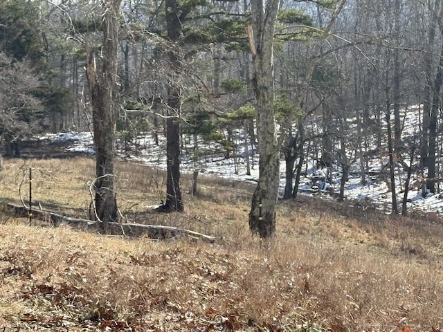 view of local wilderness with a water view