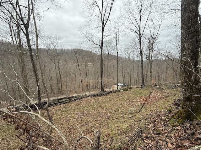 0 Birch Hollow Road Lot #12, Phase 2, Stanton KY, 40380 land for sale