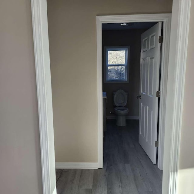 hallway with dark hardwood / wood-style floors