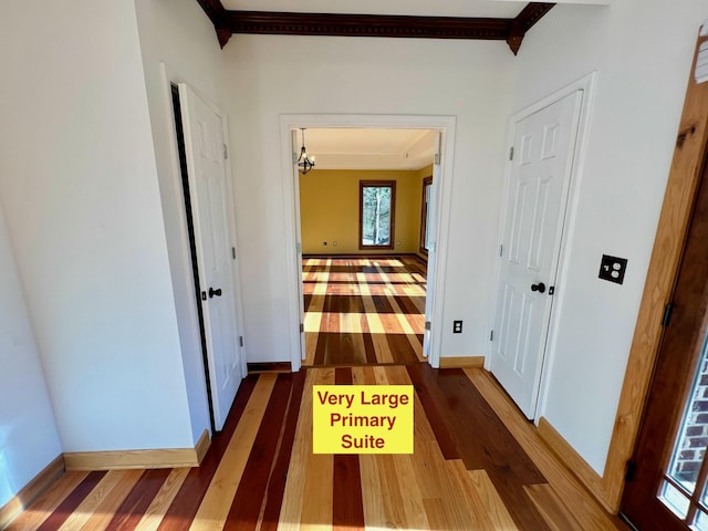 corridor featuring wood-type flooring and ornamental molding