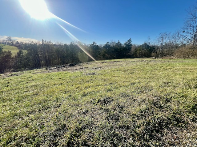 view of yard with a rural view