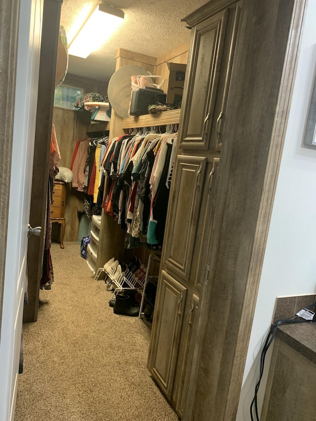 spacious closet featuring light colored carpet