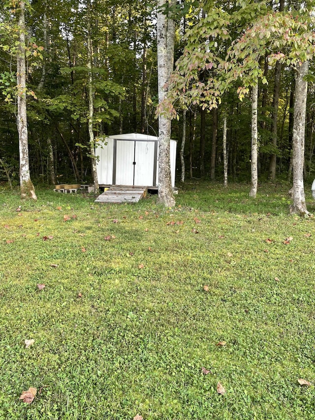 view of yard featuring a storage shed