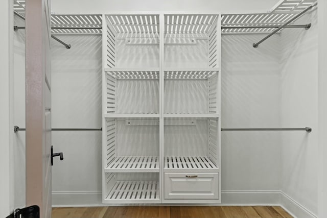 walk in closet featuring wood-type flooring