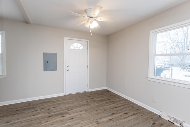 entrance foyer featuring dark hardwood / wood-style floors, plenty of natural light, and electric panel