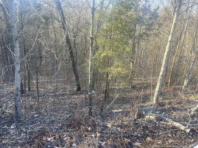 Listing photo 2 for LOT12 Cumberland Shrs, Monticello KY 42633