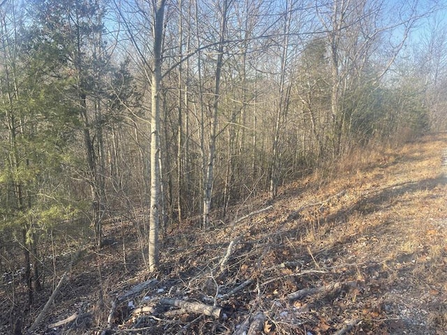 Listing photo 3 for LOT12 Cumberland Shrs, Monticello KY 42633