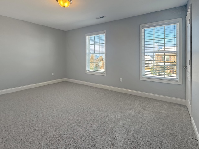 carpeted spare room with a wealth of natural light