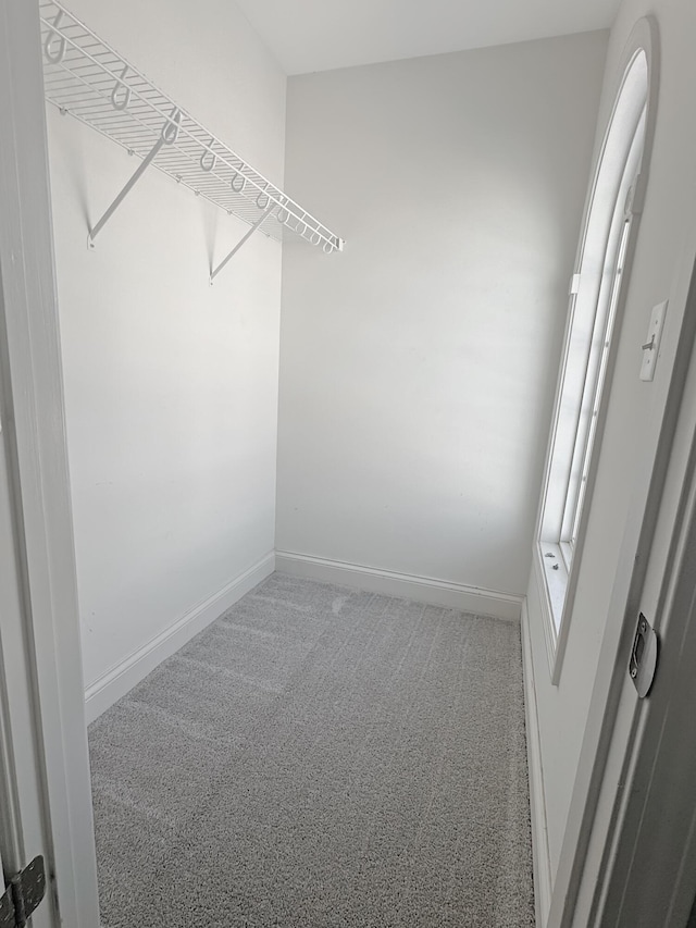 spacious closet with carpet floors