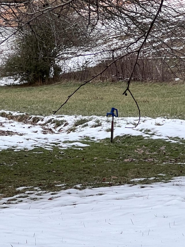 view of yard layered in snow