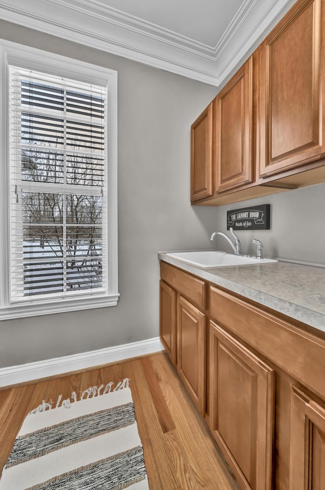 washroom featuring light hardwood / wood-style floors, plenty of natural light, ornamental molding, and sink