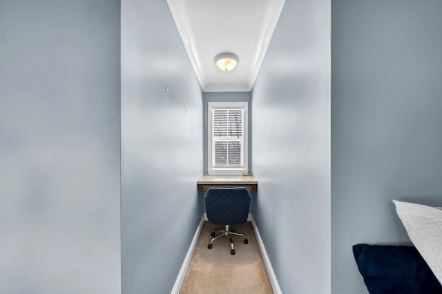 carpeted office with ornamental molding