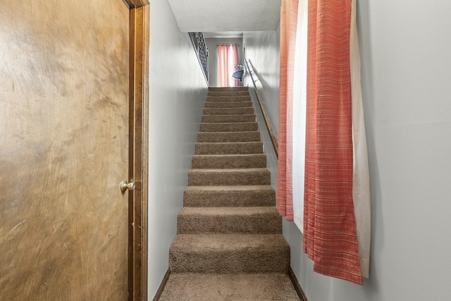 staircase featuring carpet and a textured ceiling