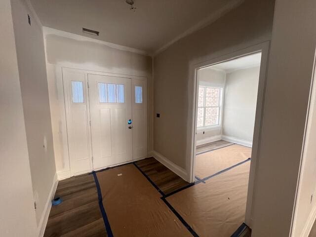 entrance foyer with dark wood-type flooring