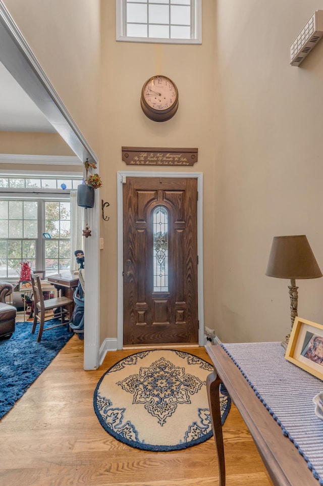 foyer entrance with a high ceiling and hardwood / wood-style floors