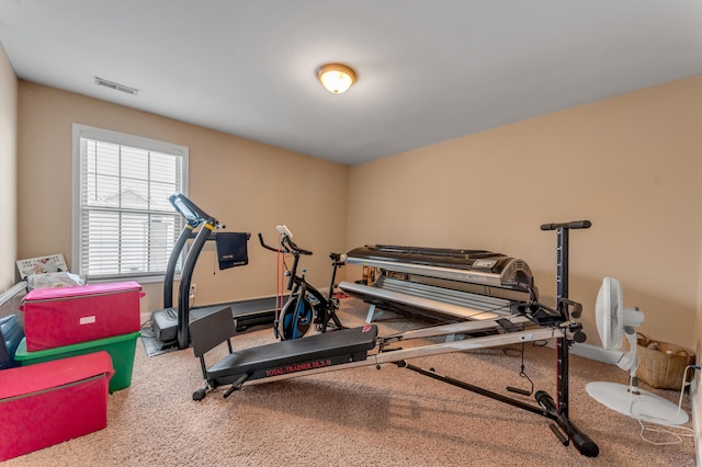 workout room with carpet flooring