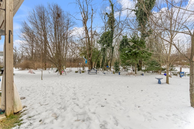 view of yard covered in snow