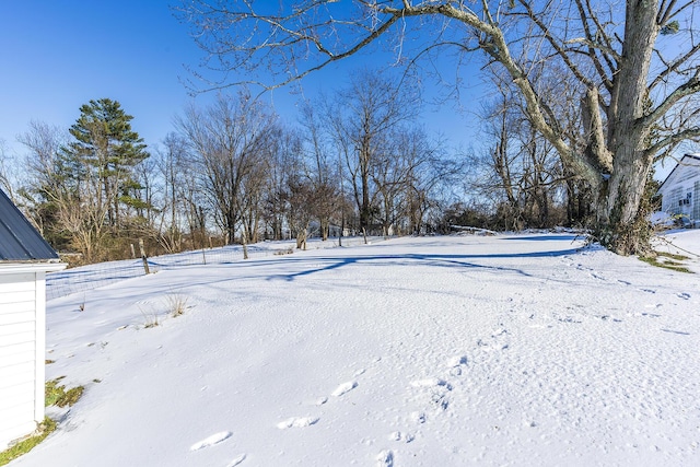 view of yard layered in snow