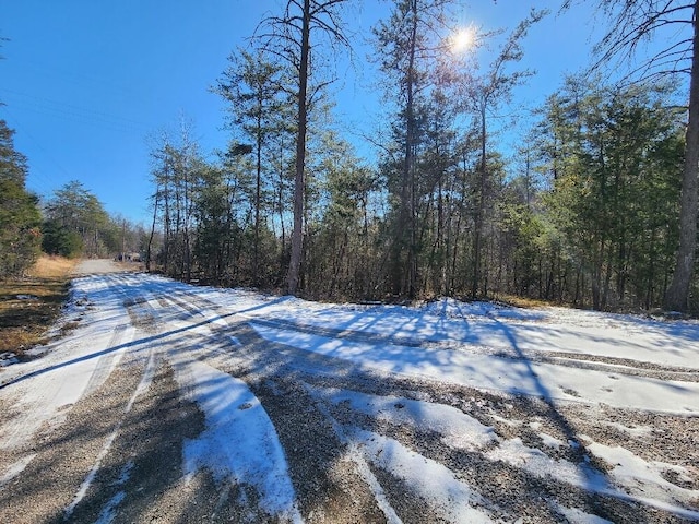 0 Raymond Dr, Burnside, KY 42519