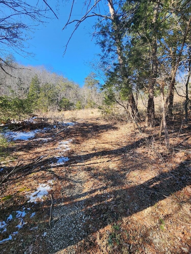 0 Raymond Dr, Burnside, KY 42519