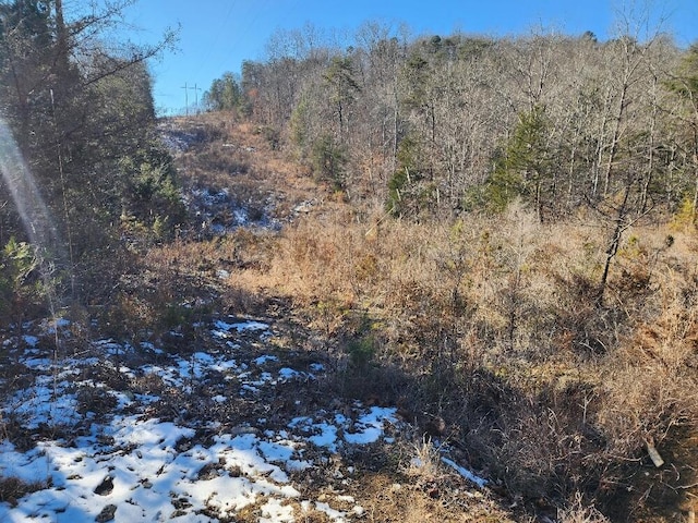 0 Raymond Dr, Burnside, KY 42519