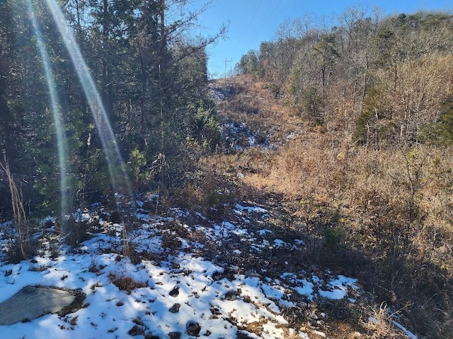 0 Raymond Dr, Burnside, KY 42519