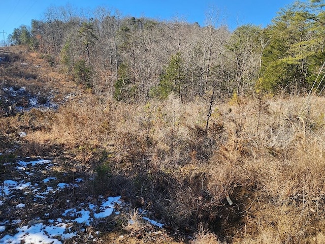 0 Raymond Dr, Burnside, KY 42519