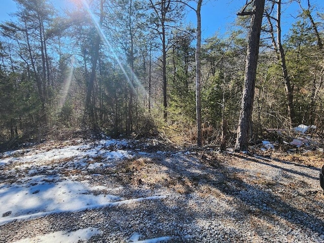 0 Raymond Dr, Burnside, KY 42519