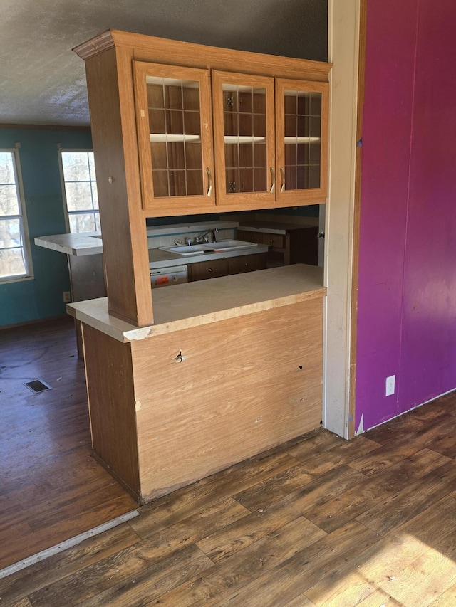 kitchen with dishwasher, dark hardwood / wood-style flooring, and sink