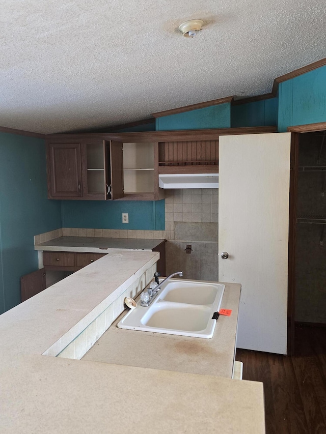 kitchen with sink, a textured ceiling, dark hardwood / wood-style floors, and lofted ceiling