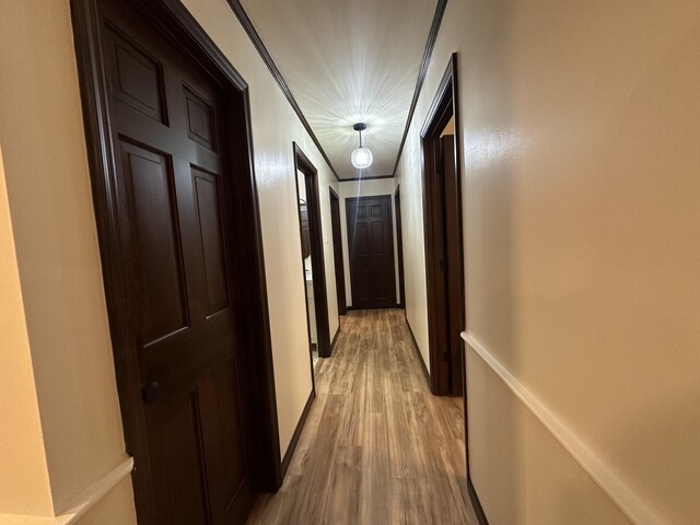 hall featuring ornamental molding and light hardwood / wood-style flooring