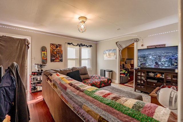 living room featuring wood-type flooring