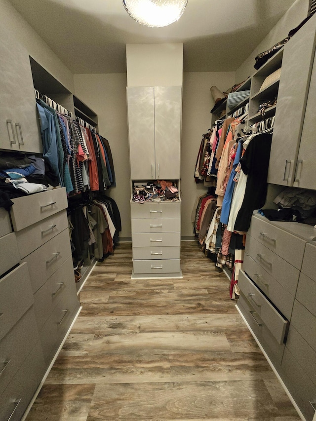 spacious closet featuring light hardwood / wood-style flooring