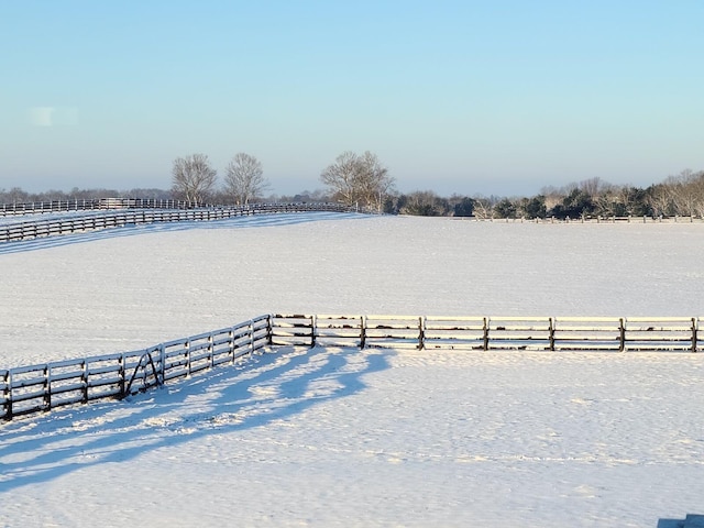 view of yard featuring a rural view