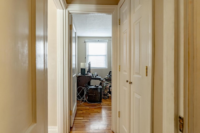 hallway with a textured ceiling and light wood-type flooring