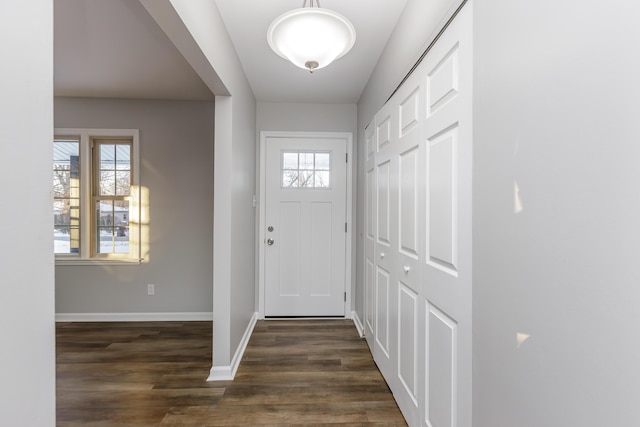 entryway featuring dark wood-type flooring