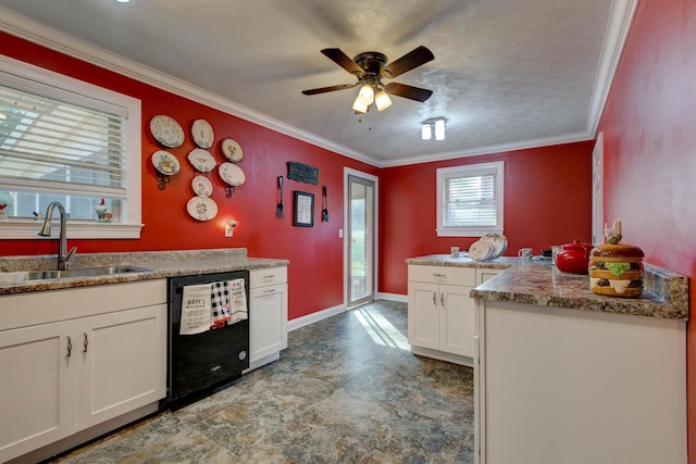 kitchen with sink, dishwasher, crown molding, and white cabinetry