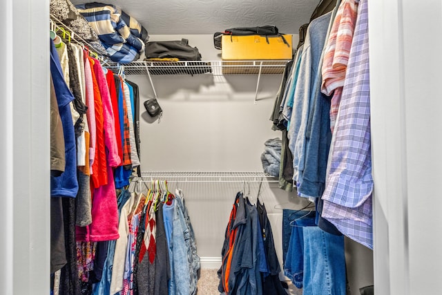 spacious closet with carpet flooring