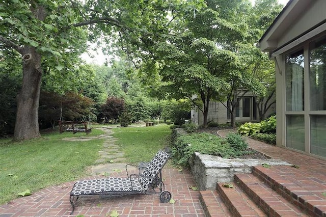 view of yard with a patio