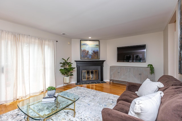 living room with hardwood / wood-style flooring