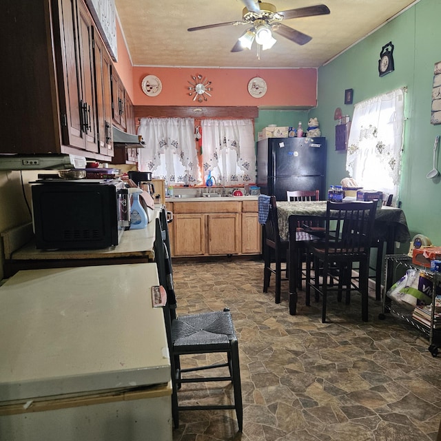 kitchen with sink, ceiling fan, and black appliances