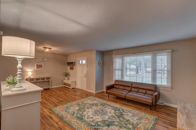 living room with hardwood / wood-style flooring