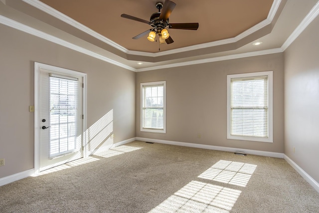 empty room featuring ornamental molding, plenty of natural light, and a raised ceiling