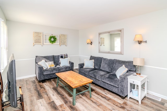 living room with wood-type flooring