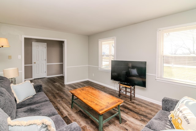 living room featuring dark wood-type flooring