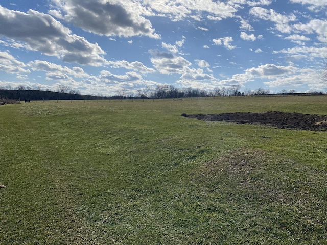 view of yard with a rural view