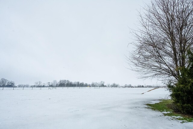 view of yard covered in snow