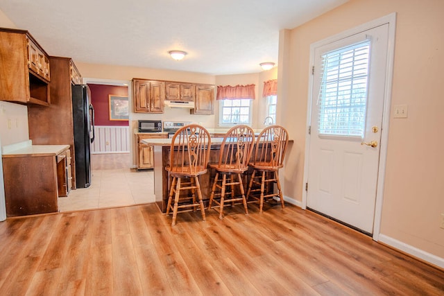 dining room with light hardwood / wood-style floors