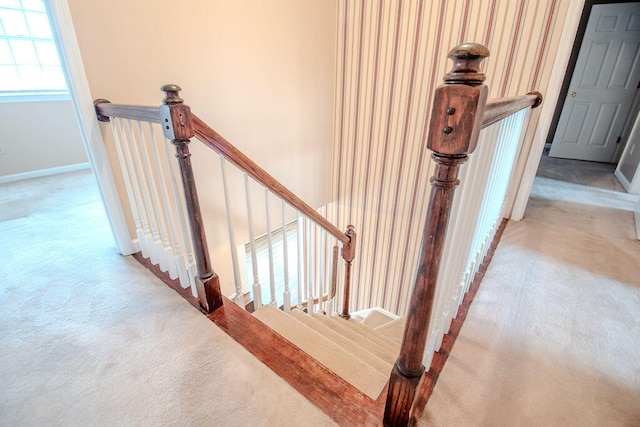 stairs featuring carpet flooring