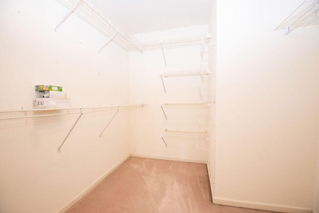 spacious closet featuring light colored carpet